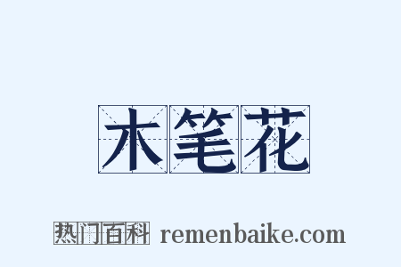 木笔花是什么意思的图片
